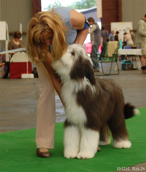 Klubová výstava 2008