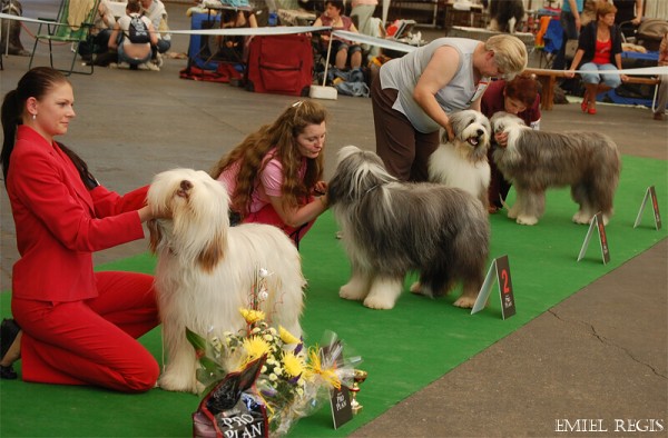 Klubová výstava 2008