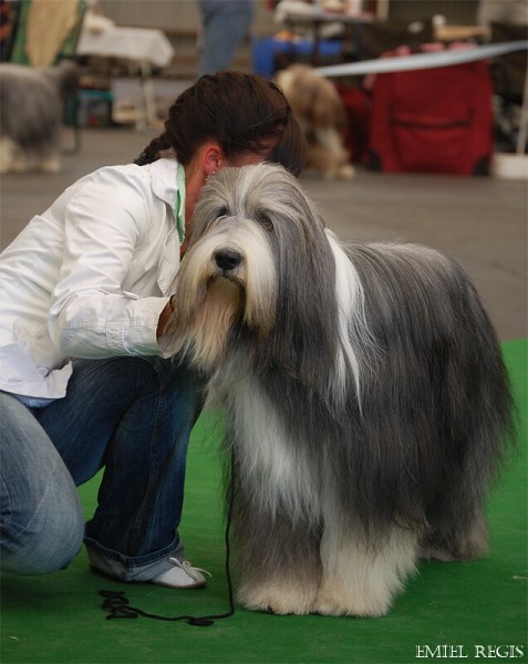 Klubová výstava 2008