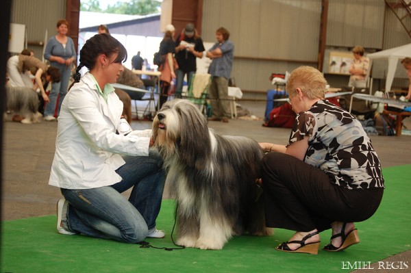 Klubová výstava 2008