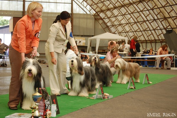 Klubová výstava 2008