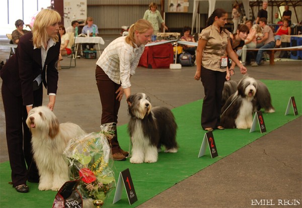 Klubová výstava 2008