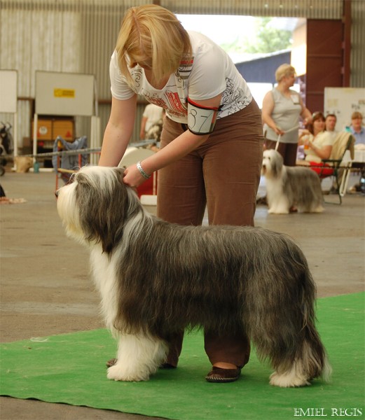 Klubová výstava 2008