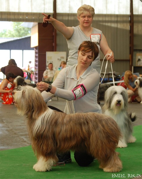 Klubová výstava 2008